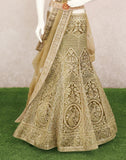 Designer party wear light Mehendi Green Floral Stones work fully flared Velvet cloth Half Saree