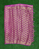 Pink Checkered Chiffon Zari Saree